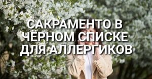 Мэр калифорнийского города задержан за вождение в нетрезвом виде. Сакраменто попал в чёрный список городов США для аллергиков. Власти Сакраменто объявили войну стихийным свалкам.