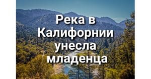 Река в Калифорнии унесла младенца: поиски идут третьи сутки. Почтальон США обвиняется в гибели домашнего питомца. Калифорнийцы восстали против диктатуры HOA.