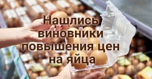 Калифорнию накрыла аномальная жара. Суд США заблокировал отмену гражданства по рождению. Трамп нашел виновников в повышении цен на яйца.