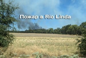 Пожарные потушили пожар в Rio Linda. 18 штатов выступили против иммиграционных облав в Лос-Анджелесе. Ученые предсказывают катастрофические наводнения в Калифорнии.