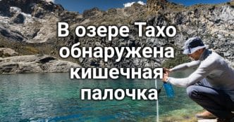 Лесной пожар в Калифорнии угрожает сотням домов. Две девочки погибли при наезде автомобиля в West Sacramento. Озеро Тахо закрыто для купания из-за бактериального заражения.
