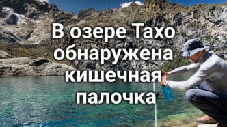 Лесной пожар в Калифорнии угрожает сотням домов. Две девочки погибли при наезде автомобиля в West Sacramento. Озеро Тахо закрыто для купания из-за бактериального заражения.