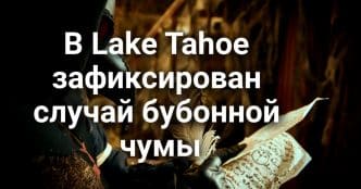 Креветки из Walmart отозваны из-за радиоактивного заражения. Героизм матери спас семью из пожара. В Lake Tahoe зафиксирован случай бубонной чумы.