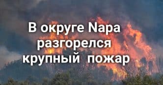 В Калифорнии спасли туриста, который провел в горах трое суток без еды и воды. Сотни морских львов закрыли популярный пляж. В округе Napa разгорелся крупный лесной пожар.
