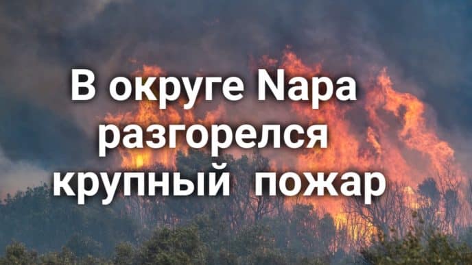 В Калифорнии спасли туриста, который провел в горах трое суток без еды и воды. Сотни морских львов закрыли популярный пляж. В округе Napa разгорелся крупный лесной пожар.