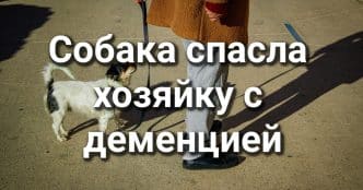 Преданность без границ: собака спасла хозяйку с деменцией. Капитана пожарной службы обвиняют в двойном убийстве. Калифорния готовится к осенней волне COVID-19.