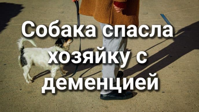Преданность без границ: собака спасла хозяйку с деменцией. Капитана пожарной службы обвиняют в двойном убийстве. Калифорния готовится к осенней волне COVID-19.