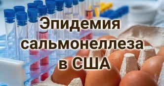 Эпидемия сальмонеллеза в США. Калифорния наращивает борьбу с преступностью. Приют бесплатно раздаст питомцев в добрые руки.