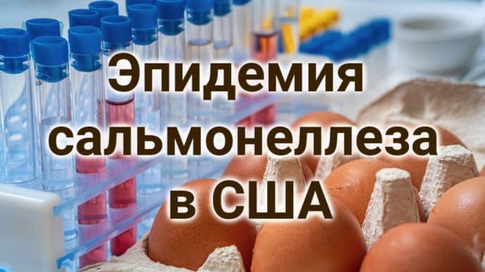 Эпидемия сальмонеллеза в США. Калифорния наращивает борьбу с преступностью. Приют бесплатно раздаст питомцев в добрые руки.