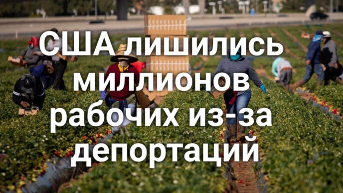 США лишились миллионов рабочих из-за депортаций. Калифорния может потерять систему морского оповещения. Калифорния обеспечит охрану Камалы Харрис.