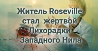 Житель Roseville стал пятой жертвой Лихорадки Западного Нила. Калифорнийцы одобряют "перекройку" избирательных округов. Ледники Сьерра-Невады могут исчезнуть впервые в истории человечества.