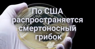Смертоносный грибок распространяется по США. Объявлено вознаграждение за помощь в поиске убийц. Жители Калифорнии наблюдали северное сияние. На Алькатрас впервые в истории доплыл койот-одиночка.