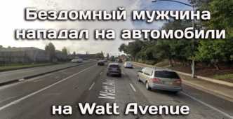 Суд Аламеды защитил права водителей-иммигрантов. Бездомный мужчина нападал на автомобили на Watt Avenue. Серийный педофил задержан накануне освобождения.