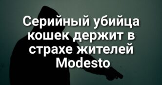 Серийный убийца кошек держит в страхе жителей Modesto. Калифорнии угрожают масштабные наводнения. Задержание пожилой няни агентами ICE вызвало общественный резонанс.