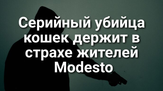 Серийный убийца кошек держит в страхе жителей Modesto. Калифорнии угрожают масштабные наводнения. Задержание пожилой няни агентами ICE вызвало общественный резонанс.