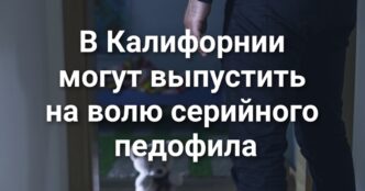 В парке Año Nuevo произошла вспышка птичьего гриппа. Калифорнийские законодатели хотят отменить налог на бензин. Калифорния готовятся к суперцветению.