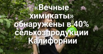 Сакраменто признан худшими городом по числу нетрезвых водителей. «Вечные химикаты» обнаружены в 40% сельхозпродукции Калифорнии. В Сакраменто младенец получил тяжелые травмы на I-5.