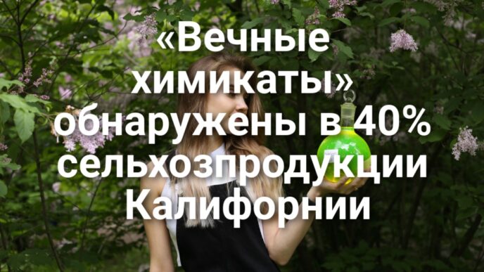 Сакраменто признан худшими городом по числу нетрезвых водителей. «Вечные химикаты» обнаружены в 40% сельхозпродукции Калифорнии. В Сакраменто младенец получил тяжелые травмы на I-5.