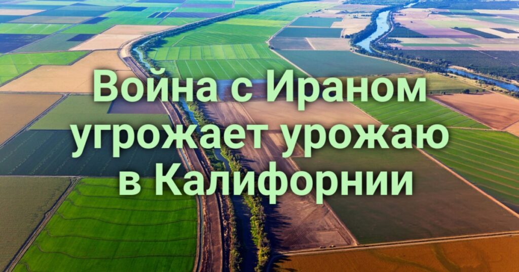 Велосипедист скончался после укуса гремучей змеи. В Калифорнии ожидается рекордная жара. Госдепартамент США снизил стоимость отказа от гражданства Велосипедист скончался после укуса гремучей змеи. В Калифорнии ожидается рекордная жара. Госдепартамент США снизил стоимость отказа от гражданства