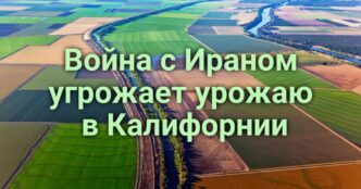 Велосипедист скончался после укуса гремучей змеи. В Калифорнии ожидается рекордная жара. Госдепартамент США снизил стоимость отказа от гражданства