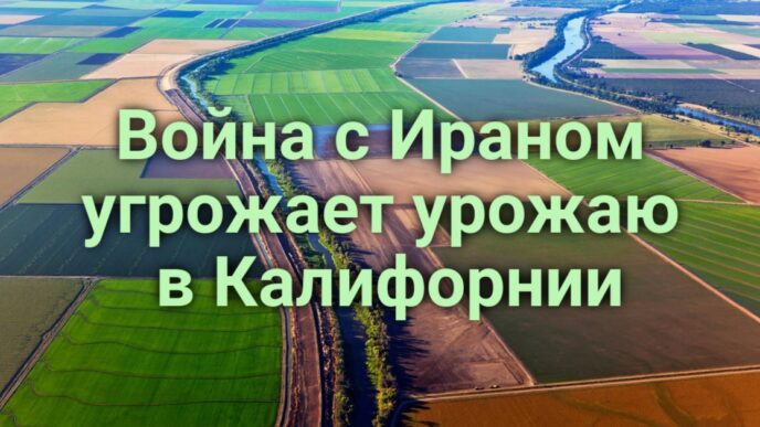 Велосипедист скончался после укуса гремучей змеи. В Калифорнии ожидается рекордная жара. Госдепартамент США снизил стоимость отказа от гражданства