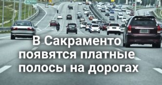 Серфер госпитализирован после нападения акулы. Прошла масштабная забастовка медиков из-за ИИ. В Калифорнии никак не достроят уникальный мост для животных.