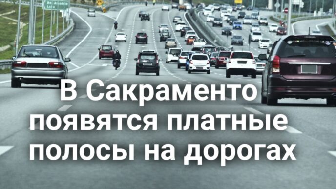 Серфер госпитализирован после нападения акулы. Прошла масштабная забастовка медиков из-за ИИ. В Калифорнии никак не достроят уникальный мост для животных.