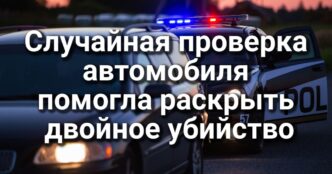 Случайная проверка автомобиля помогла раскрыть двойное убийство. 7 подозреваемых арестованы по делу о взрыве склада с фейерверками. Pаскрыта крупная кража конструкторов Lego.