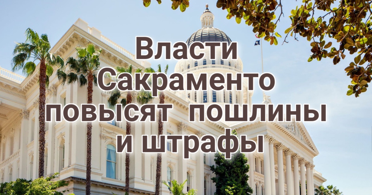Власти Сакраменто утвердили повышение пошлин и штрафов. Северная Калифорния столкнулась со вспышкой высокозаразного парвовируса. Мэр Аркадии признала себя агентом влияния Китая. Власти Сакраменто утвердили повышение пошлин и штрафов. Северная Калифорния столкнулась со вспышкой высокозаразного парвовируса. Мэр Аркадии признала себя агентом влияния Китая.