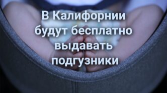 На Гавайях погиб турист из Калифорнии. Калифорнийского доктора осудили за мошенничество с Medicare. Молодым родителям будут бесплатно выдавать подгузники. На Гавайях погиб турист из Калифорнии. Калифорнийского доктора осудили за мошенничество с Medicare. Молодым родителям будут бесплатно выдавать подгузники.