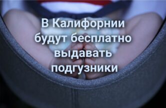 На Гавайях погиб турист из Калифорнии. Калифорнийского доктора осудили за мошенничество с Medicare. Молодым родителям будут бесплатно выдавать подгузники.