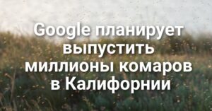 Большинство иммигрантов не должны покидать страну из-за Гринкарты. Google планирует выпустить миллионы комаров. Правоохранители эвакуировали клинику в Сакраменто из-за ложного вызова.