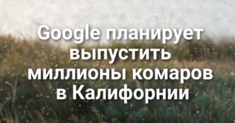 Большинство иммигрантов не должны покидать страну из-за Гринкарты. Google планирует выпустить миллионы комаров. Правоохранители эвакуировали клинику в Сакраменто из-за ложного вызова.