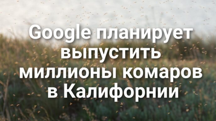 Большинство иммигрантов не должны покидать страну из-за Гринкарты. Google планирует выпустить миллионы комаров. Правоохранители эвакуировали клинику в Сакраменто из-за ложного вызова.