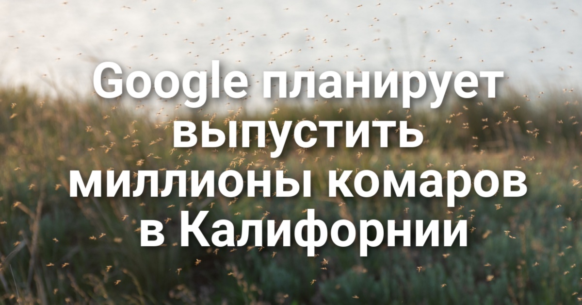 Большинство иммигрантов не должны покидать страну из-за Гринкарты. Google планирует выпустить миллионы комаров. Правоохранители эвакуировали клинику в Сакраменто из-за ложного вызова. Большинство иммигрантов не должны покидать страну из-за Гринкарты. Google планирует выпустить миллионы комаров. Правоохранители эвакуировали клинику в Сакраменто из-за ложного вызова.