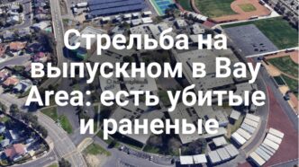 Трамп обвинил демократов в фальсификации результатов праймериз. Стрельба на выпускном: есть убитые и раненые. Ликвидирован мужчина, захвативший заложников. В Калифорнии выставили на продажу частный остров.