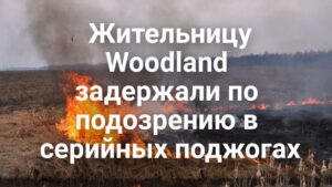 В Pasadena полицейский ранил своего коллегу. Трамп подписал закон о выделении 70 миллиардов долларов на охрану границ. Жительницу Woodland задержали по подозрению в серийных поджогах.