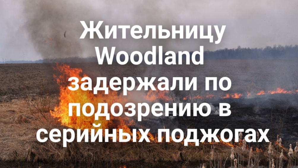 В Pasadena полицейский ранил своего коллегу. Трамп подписал закон о выделении 70 миллиардов долларов на охрану границ. Жительницу Woodland задержали по подозрению в серийных поджогах. В Pasadena полицейский ранил своего коллегу. Трамп подписал закон о выделении 70 миллиардов долларов на охрану границ. Жительницу Woodland задержали по подозрению в серийных поджогах.