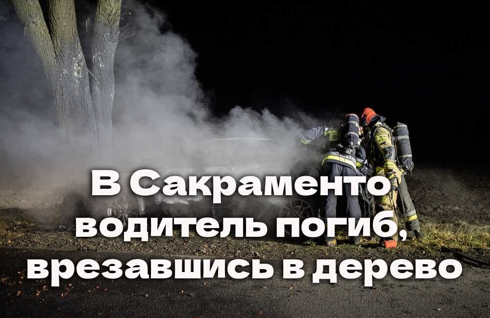 UC Davis зачислил наивысшее число абитуриентов в 2026 году. Трагедия в Сакраменто: водитель погиб, врезавшись в дерево. Спасенный мальчик признался, что уже прощался с жизнью во время шторма. UC Davis зачислил наивысшее число абитуриентов в 2026 году. Трагедия в Сакраменто: водитель погиб, врезавшись в дерево. Спасенный мальчик признался, что уже прощался с жизнью во время шторма.