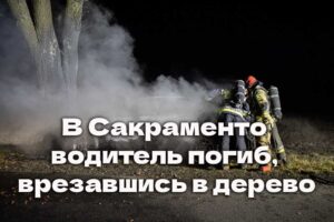 UC Davis зачислил наивысшее число абитуриентов в 2026 году. Трагедия в Сакраменто: водитель погиб, врезавшись в дерево. Спасенный мальчик признался, что уже прощался с жизнью во время шторма.