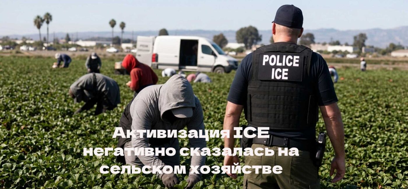 Активизация ICE негативно сказалась на сельском хозяйстве Калифорнии. 8 детей были депортированы после содержания в центре ICE. Вынесен приговор по делу об убийстве у ликеро-водочного магазина. Активизация ICE негативно сказалась на сельском хозяйстве Калифорнии. 8 детей были депортированы после содержания в центре ICE. Вынесен приговор по делу об убийстве у ликеро-водочного магазина.