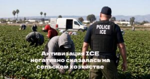 Активизация ICE негативно сказалась на сельском хозяйстве Калифорнии. 8 детей были депортированы после содержания в центре ICE. Вынесен приговор по делу об убийстве у ликеро-водочного магазина.