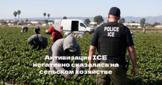 Активизация ICE негативно сказалась на сельском хозяйстве Калифорнии. 8 детей были депортированы после содержания в центре ICE. Вынесен приговор по делу об убийстве у ликеро-водочного магазина.