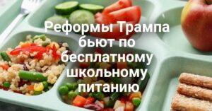 Реформы Трампа бьют по бесплатному школьному питанию. Водитель грузовика приговорен к тюремному сроку за ДТП с тремя погибшими. В Сакраменто по подозрению в поджоге задержана местная жительница.