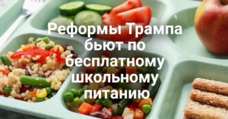 Реформы Трампа бьют по бесплатному школьному питанию. Водитель грузовика приговорен к тюремному сроку за ДТП с тремя погибшими. В Сакраменто по подозрению в поджоге задержана местная жительница.