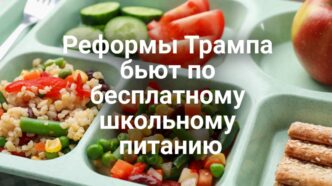 Реформы Трампа бьют по бесплатному школьному питанию. Водитель грузовика приговорен к тюремному сроку за ДТП с тремя погибшими. В Сакраменто по подозрению в поджоге задержана местная жительница. Реформы Трампа бьют по бесплатному школьному питанию. Водитель грузовика приговорен к тюремному сроку за ДТП с тремя погибшими. В Сакраменто по подозрению в поджоге задержана местная жительница.