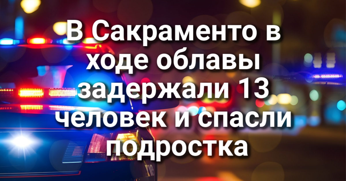 Ребенок пострадал от укуса гремучей змеи, прятавшейся под посылкой. Присяжные признали студента из Дэвиса виновным в непредумышленном убийстве. В Сакраменто планируют разрешить жителям держать до четырех собак. Ребенок пострадал от укуса гремучей змеи, прятавшейся под посылкой. Присяжные признали студента из Дэвиса виновным в непредумышленном убийстве. В Сакраменто планируют разрешить жителям держать до четырех собак.