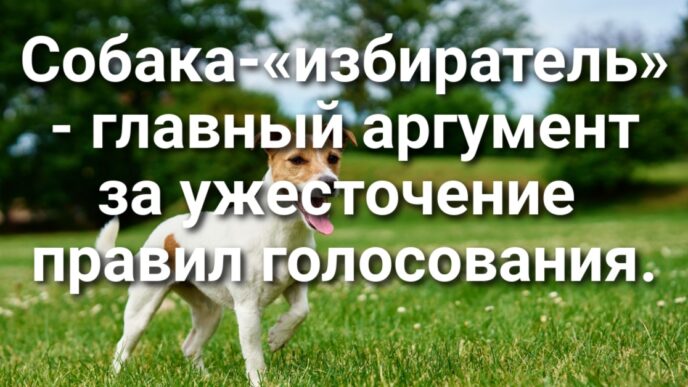 Госслужащие протестуют против возвращения в офисы. Собака-«избиратель» -- главный аргумент за ужесточение правил голосования. Мэр Сакраменто попал в скандал из-за невыключенного микрофона.