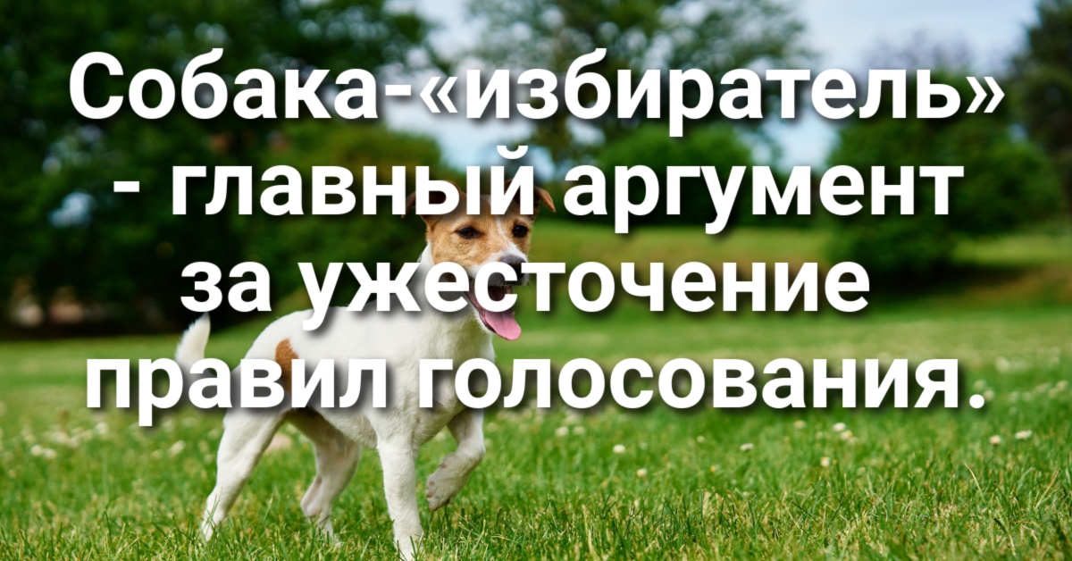 Госслужащие протестуют против возвращения в офисы. Собака-«избиратель» -- главный аргумент за ужесточение правил голосования. Мэр Сакраменто попал в скандал из-за невыключенного микрофона.