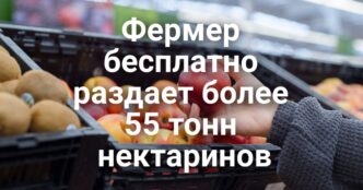Верховный суд ограничил миграционные инициативы Трампа. Фермер бесплатно раздает более 55 тонн нектаринов. Минюст США оспорил запреты на оружие в Вирджинии и Калифорнии.